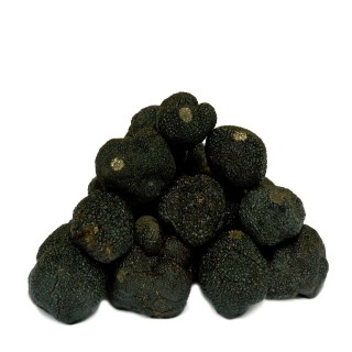 Trufa Negra Fresca AM (Tuber Melanosporum)