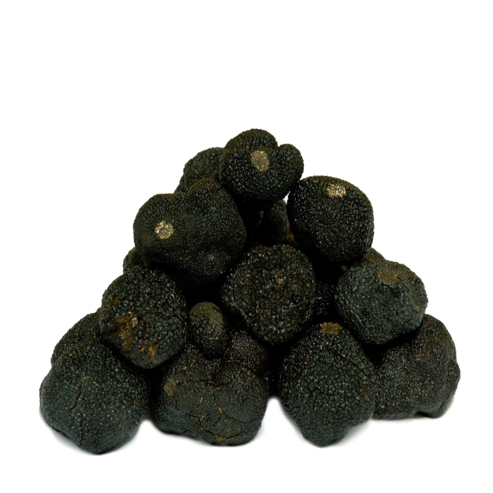 Trufa Negra Fresca AM (Tuber Melanosporum)