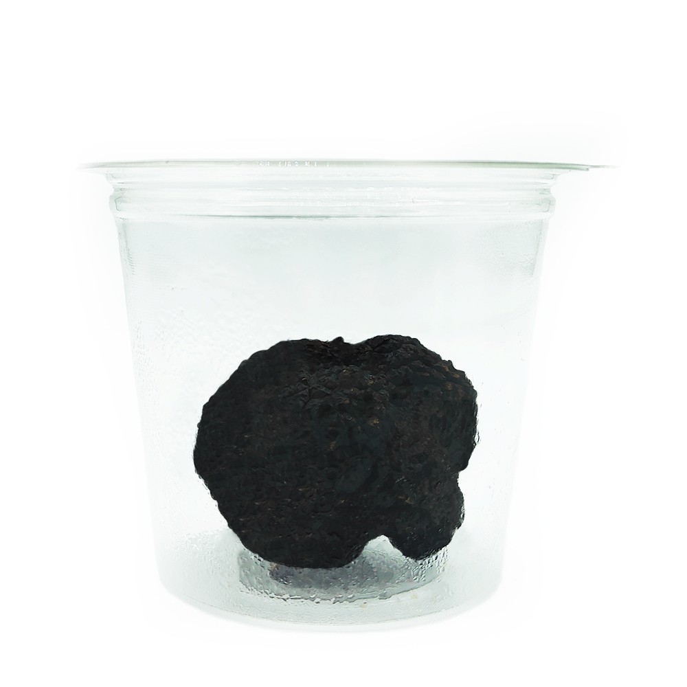 Trufa Negra Fresca AM (Tuber Melanosporum)