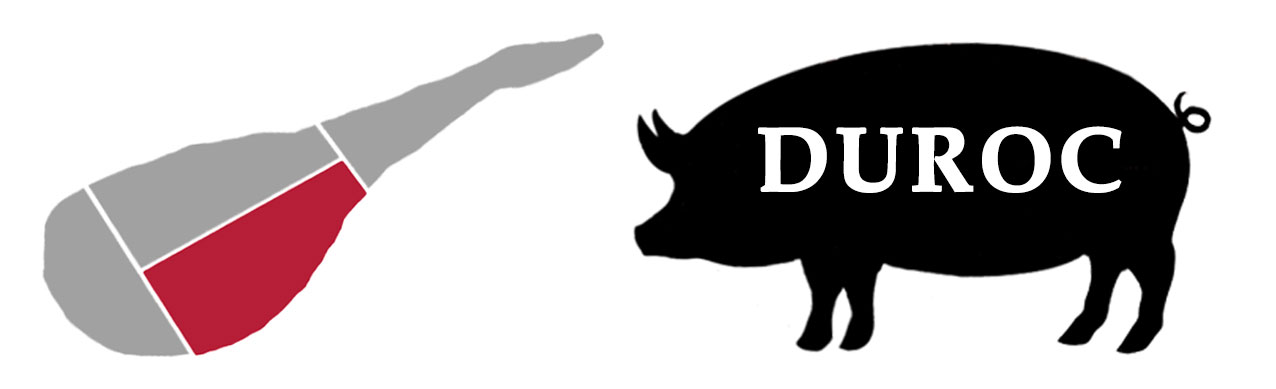 ICONOS-CENTRO-JAMON2.jpg
